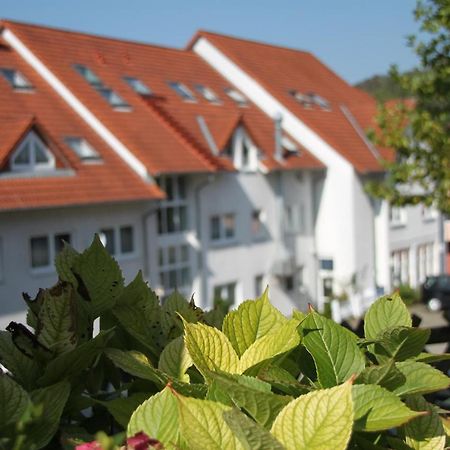Hotel Leo Muehlhausen Exteriér fotografie