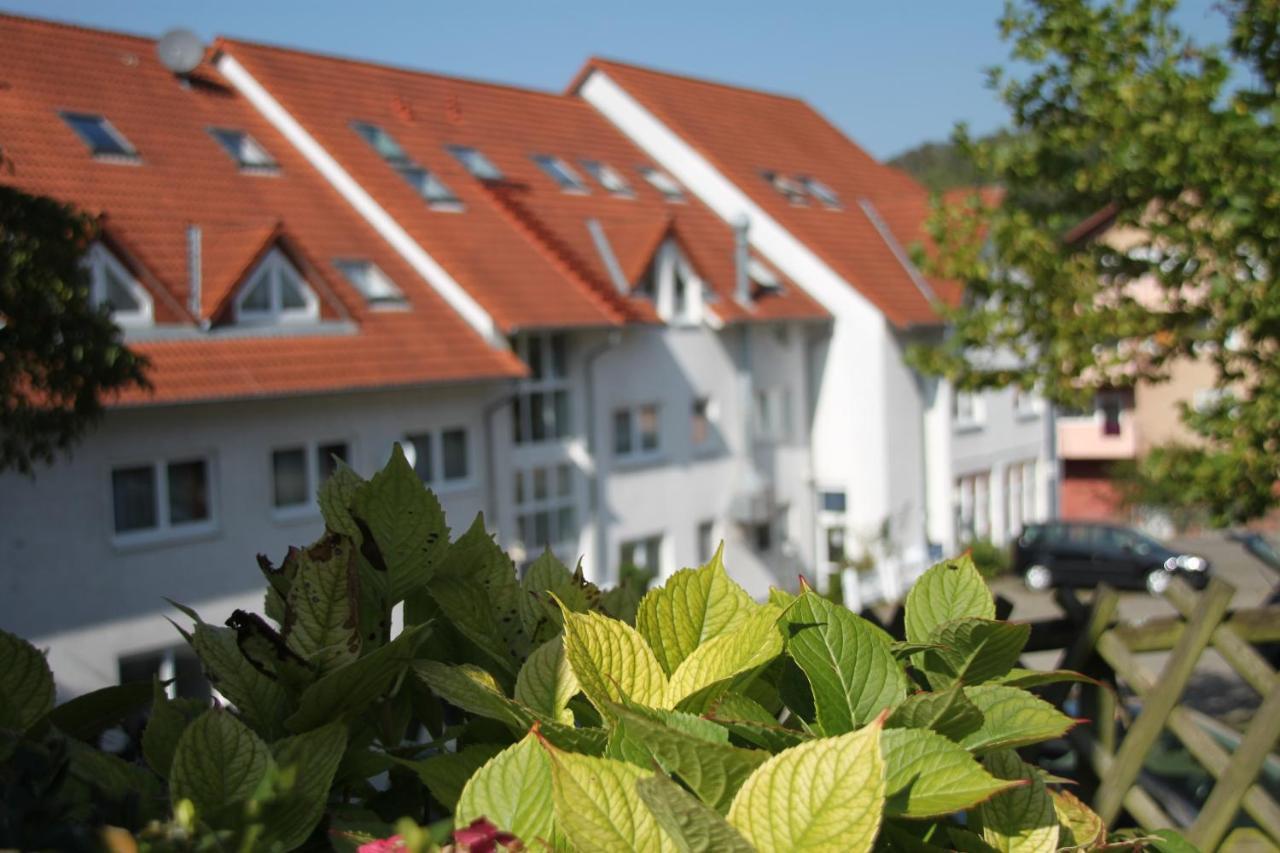 Hotel Leo Muehlhausen Exteriér fotografie